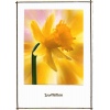 Dazzeling Daffodil Wedding Invitation